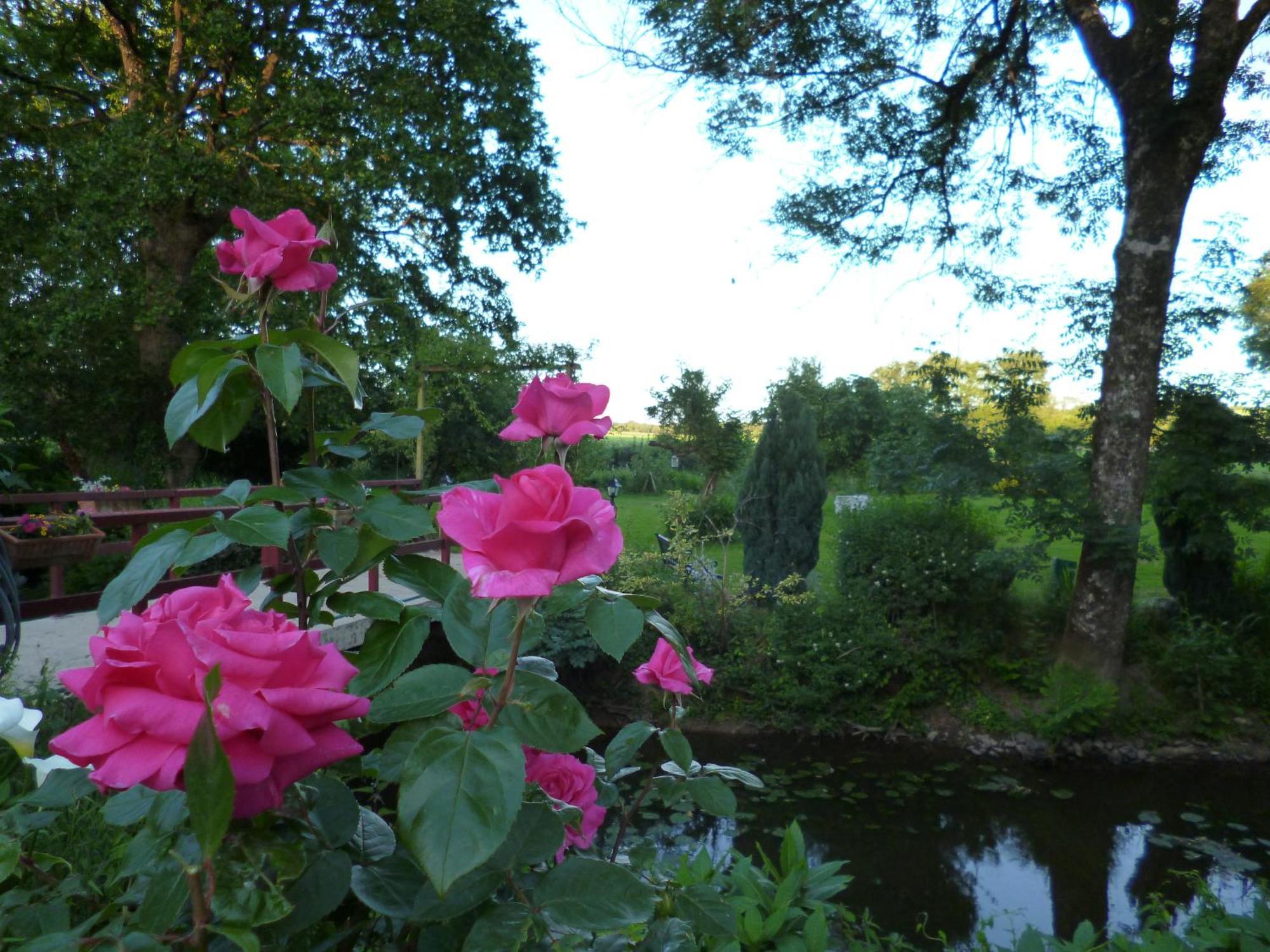 Le Moulin Du Bignon Bed & Breakfast Lassy Exterior photo