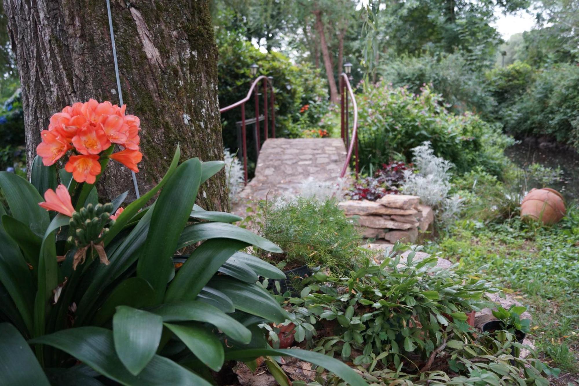 Le Moulin Du Bignon Bed & Breakfast Lassy Exterior photo