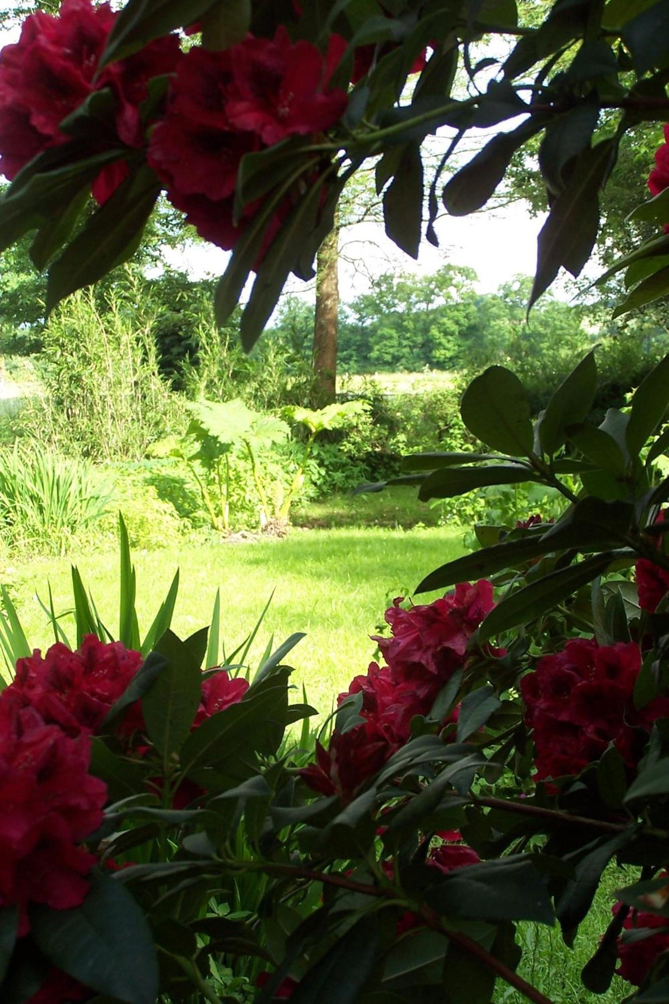 Le Moulin Du Bignon Bed & Breakfast Lassy Exterior photo