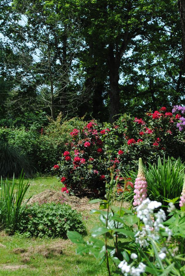 Le Moulin Du Bignon Bed & Breakfast Lassy Exterior photo